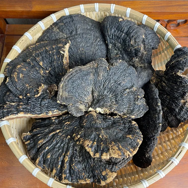 （吴哥同款）不苦灵芝无柄黑树芝 散装农产品