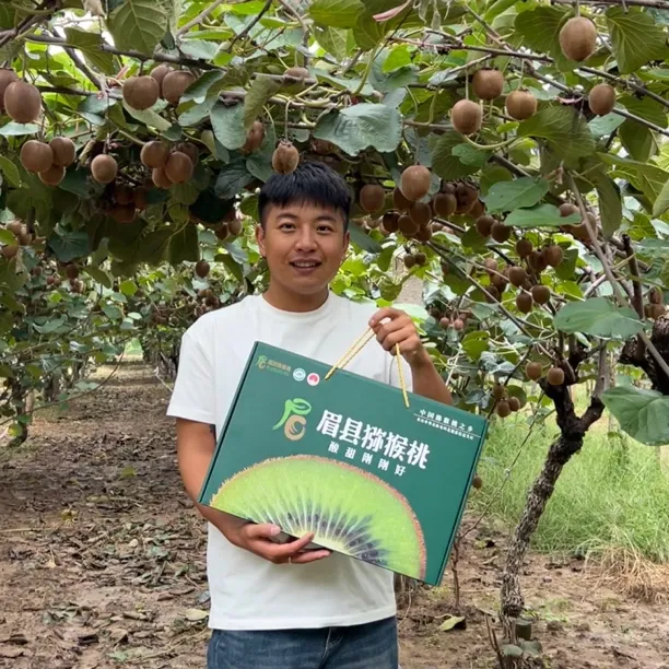 【京东快递】眉县绿心猕猴桃，北纬34°的馈赠，口口香甜徐香猕猴桃