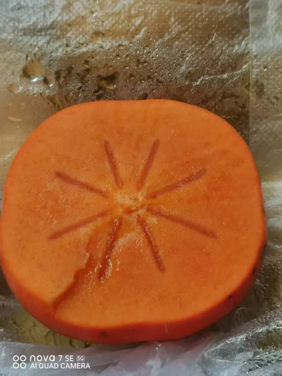 太秋脆柿改良新品种红心红肉脆爽超甜不苦涩，籽少有糖心甜得很