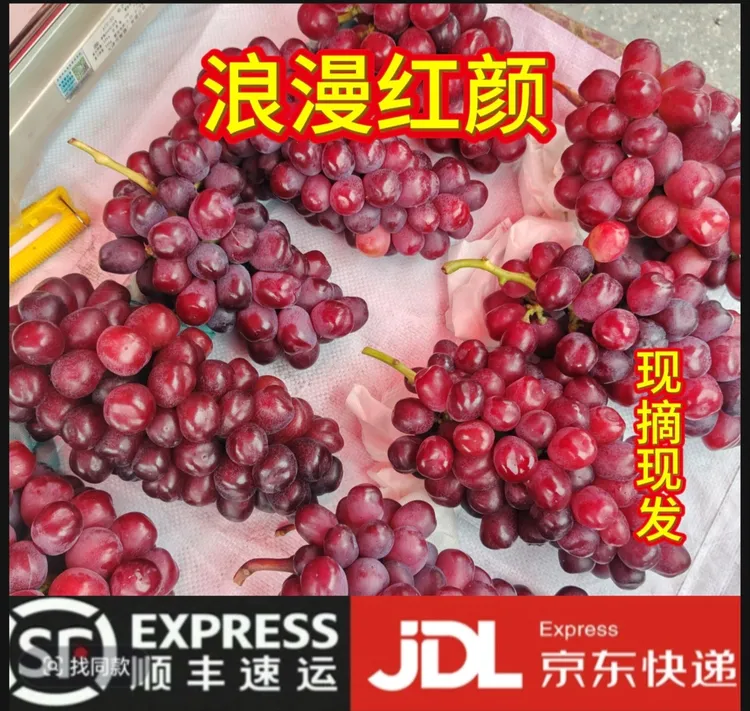 顺丰京东包邮陕西当季浪漫红颜爱心葡萄新鲜现摘水果无籽提子