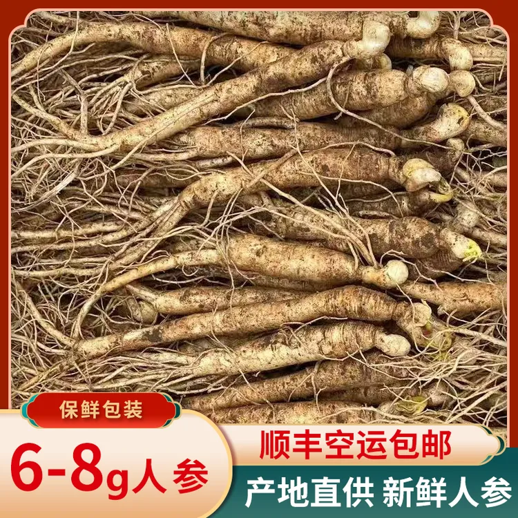 【正宗长白山鲜人参】现挖60至80支足龄参产地直发鲜人参500g一斤装