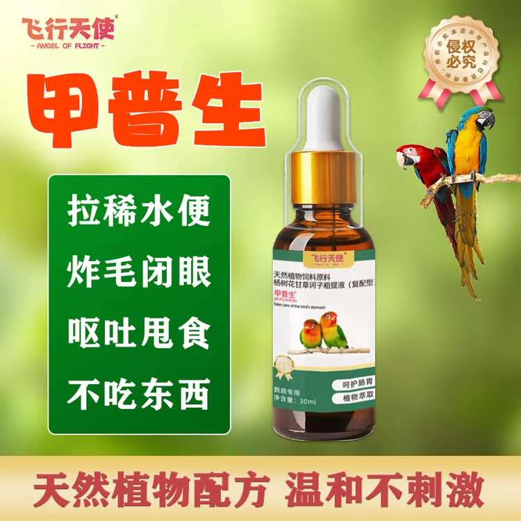 飞行天使甲普生鹦鹉拉稀腹泻绿便黄白水便呕吐甩食肠炎消化不良