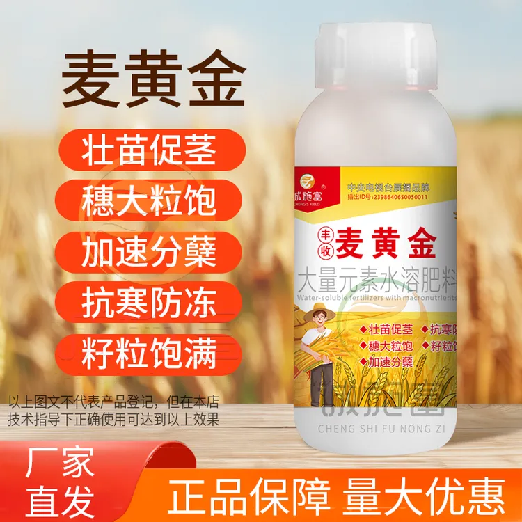 麦黄金增产肥小麦壮苗籽粒饱满促茎抗倒伏分蘖灌浆增产专用叶面肥