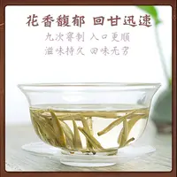 【2025】横县茉莉花绿茶特级浓香型茉莉花茶 9窨茉莉龙芽龙毫