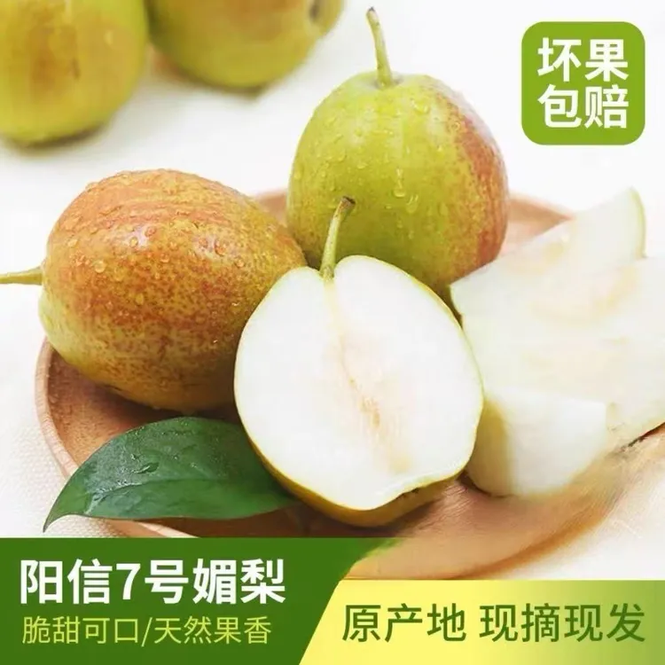 【现摘现发】正宗7号媚梨新香梨香甜皮薄口感脆甜多汁坏果包赔