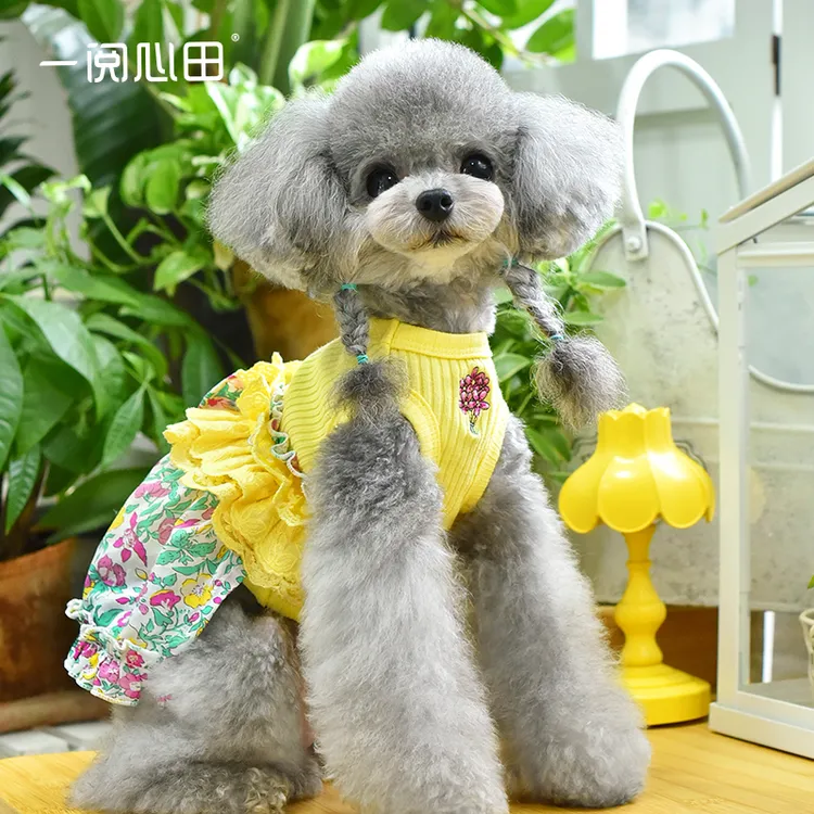 一阅心田亢条上衣新款小型犬宠物狗狗衣服泰迪马尔济斯包肚子挂腿
