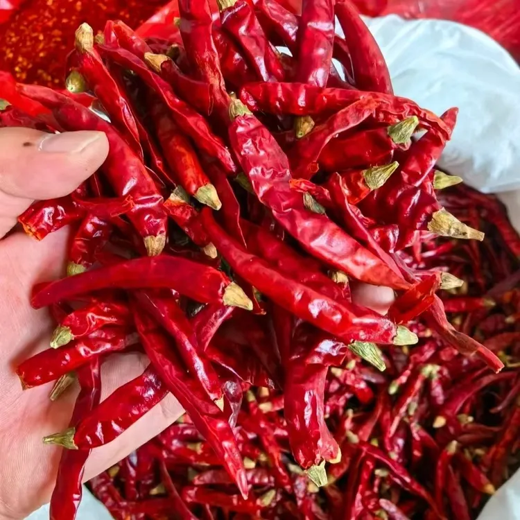 干辣椒批发特辣香辣朝天椒干红辣椒晒干微辣红辣椒干辣椒段家用