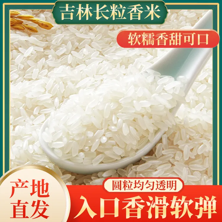东北长粒香米新米软糯香甜营养丰富适合煮饭煲仔饭