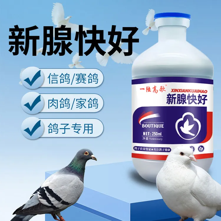 【一陆高歌】新腺快好 鸽子营养肉鸽赛鸽信鸽宠物鸽子通用常备