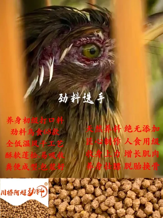 劲料68款.画眉鸟鸟食饲料.画眉打口料.画眉鸟提性壮膘饲料