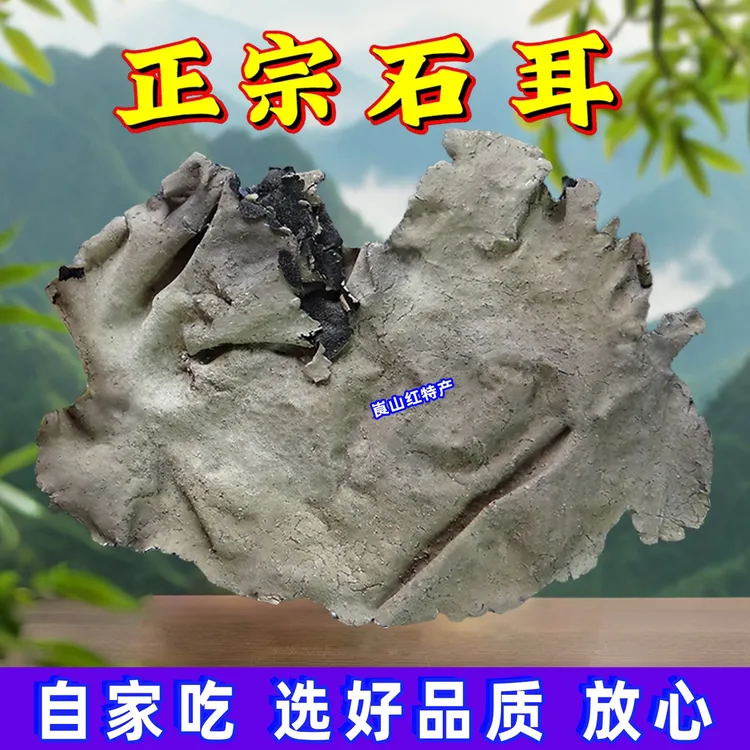 庐山石耳干货自摘大片岩菇优质特产正宗岩耳营养石菇干净爽口品质