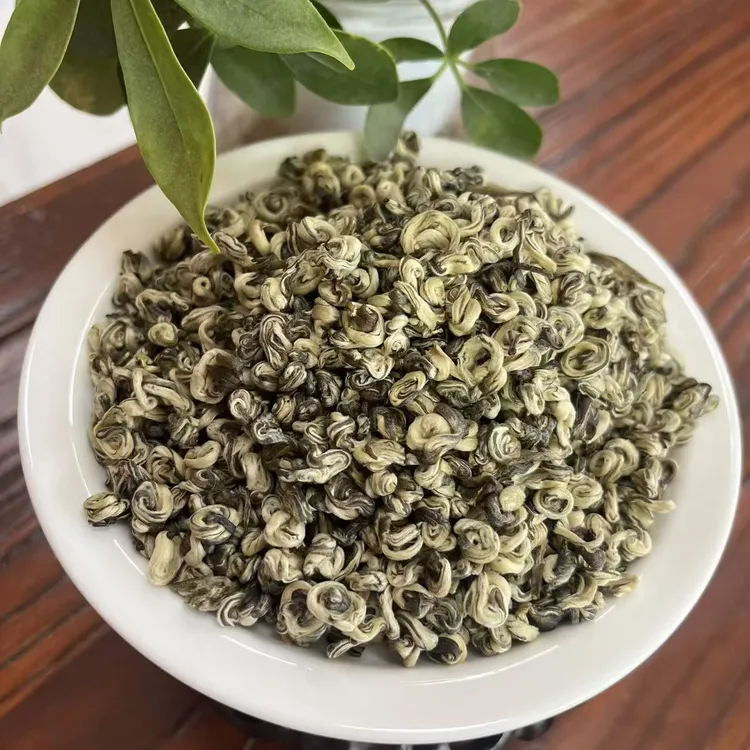 新茶茉莉花茶茉莉玉螺王广西横县白玉螺全嫩芽龙珠浓香型香螺好茶