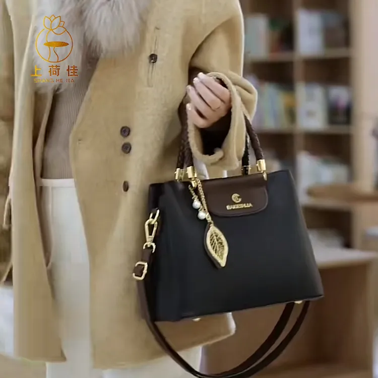 【当天发货】2025秋冬新款高档品牌正品女包手提斜挎包多层款轻奢风