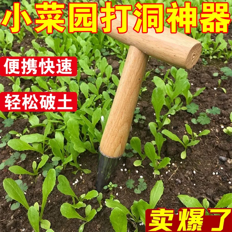 不锈钢木柄打洞器播种移苗追肥神器花园多肉种苗打孔器种蒜家用