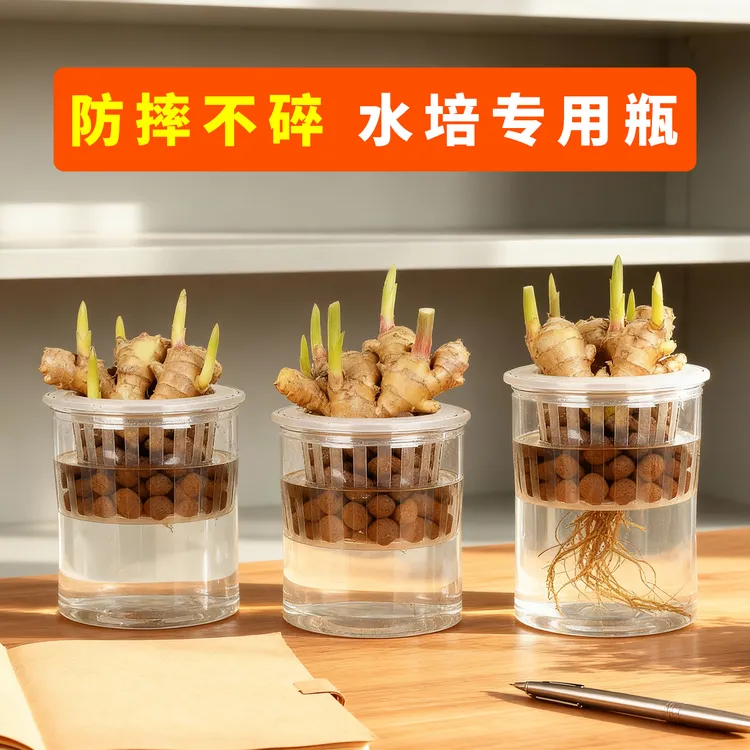 养禄根专用盆水培福禄根生姜容器大口径器皿植物盆器专用花瓶花盆