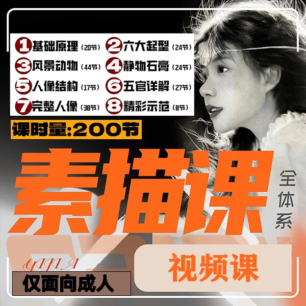 全体系素描 200节四阶段完整版画画素描基础到人像（通过信息开通）