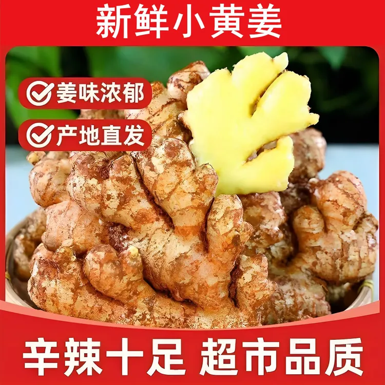 【现挖小黄姜】贵州高山小黄姜农家带泥鲜姜嫩生姜辛辣味足蔬菜老姜