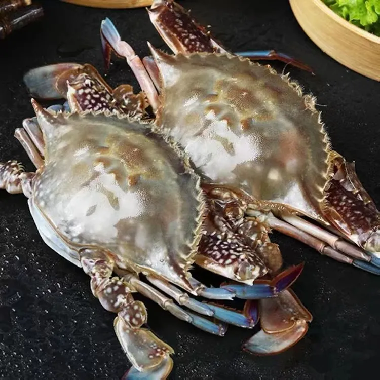 【保鲜不保活】海捕梭子蟹 3斤（3两~3.5两/只）（4两~5两/只）