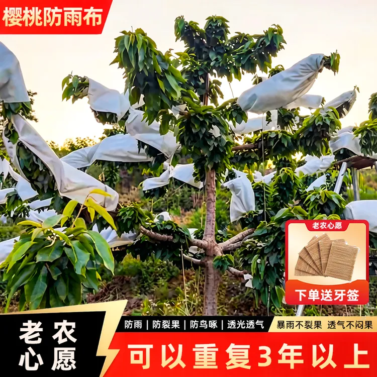 老农心愿大樱桃专用防雨布防鸟防裂果防雨透光透气可重复使用三年商品图