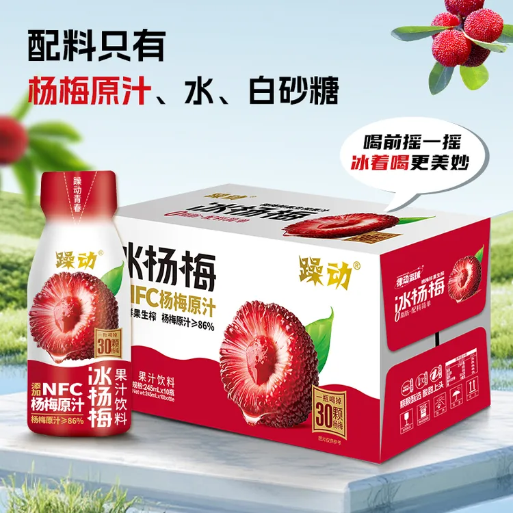 躁动杨梅汁果汁饮料夏季冰镇清爽解腻酸甜245ml*10瓶