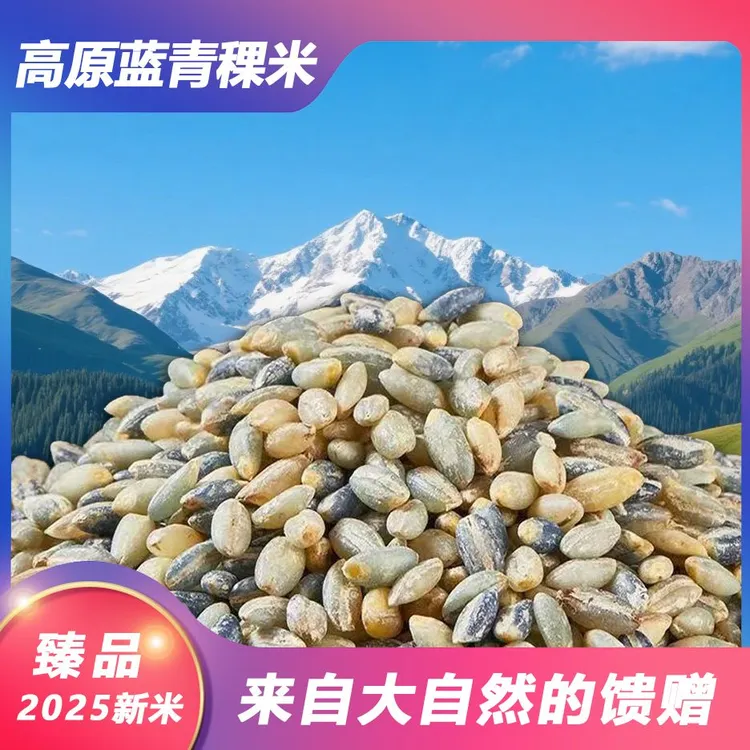 特惠装【蓝白青稞米】青藏高原优质产区五谷粗粮养生低脂健康食品