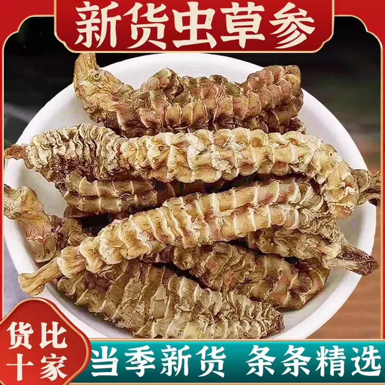云南虫草参地参干货白虫草竹节参草石蚕煲汤泡酒