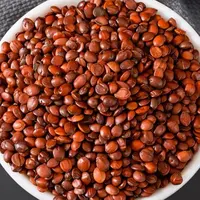 【杨八妹推荐】酸-枣-仁  山货。