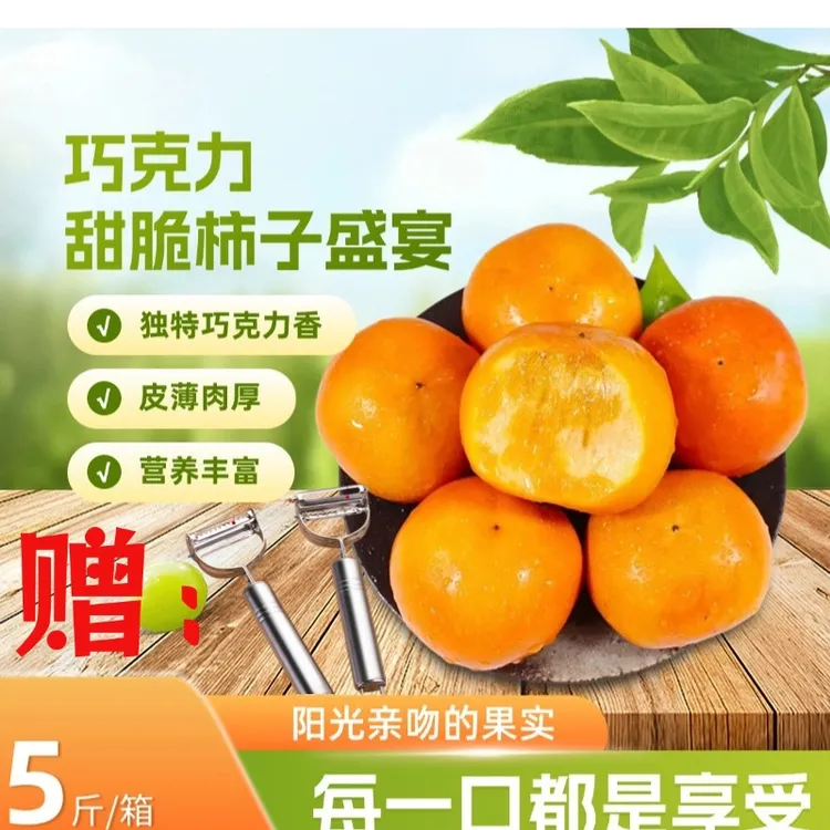 山西阳丰冰糖心巧克力脆柿新鲜采摘香甜多汁现摘水果