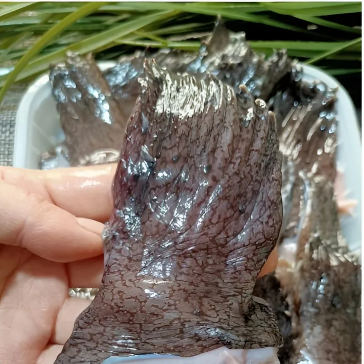 大连速冻 安康鱼翅 750g/袋 *2袋