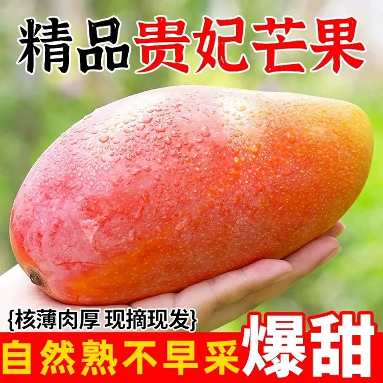正宗云南高山贵妃芒小金凤香甜软糯芒果3-8斤装整箱包邮香甜可口