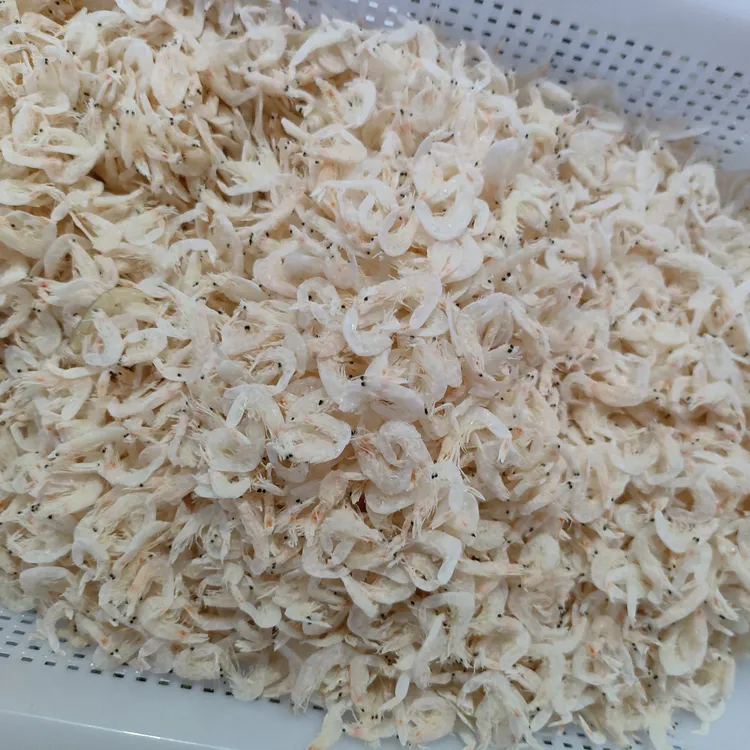 海里野生的烘干的不添加剂的大虾皮
