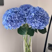 【卉羡】大海蓝绣球装饰点缀客厅水养中秋节送礼鲜切花直播间