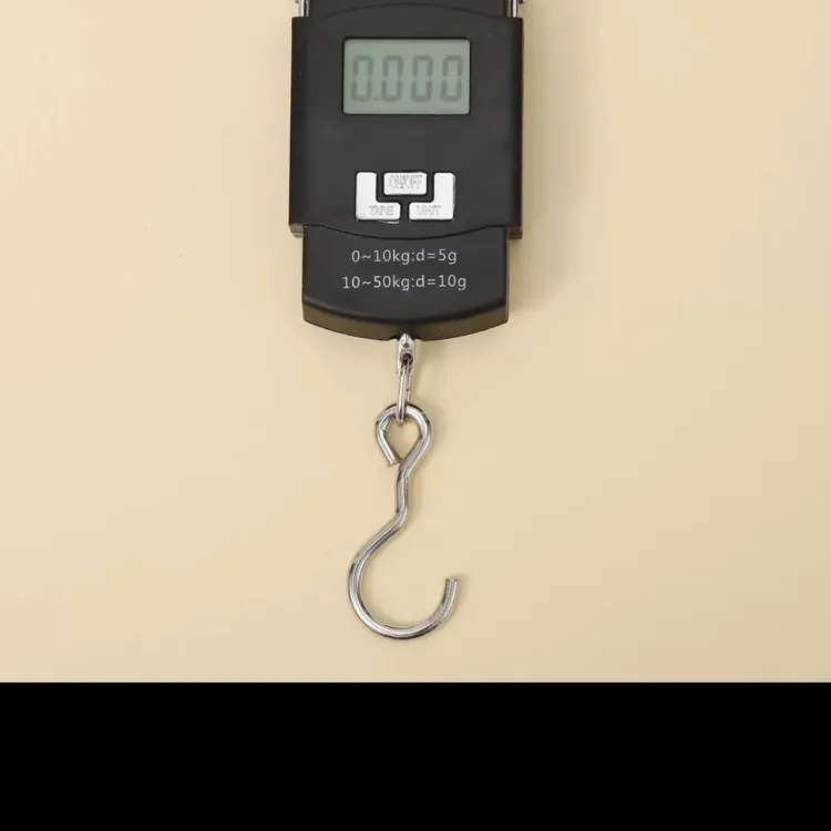 高精度家用手提电子秤电子称挂钩称重小型便携式手拿迷你称鱼器手