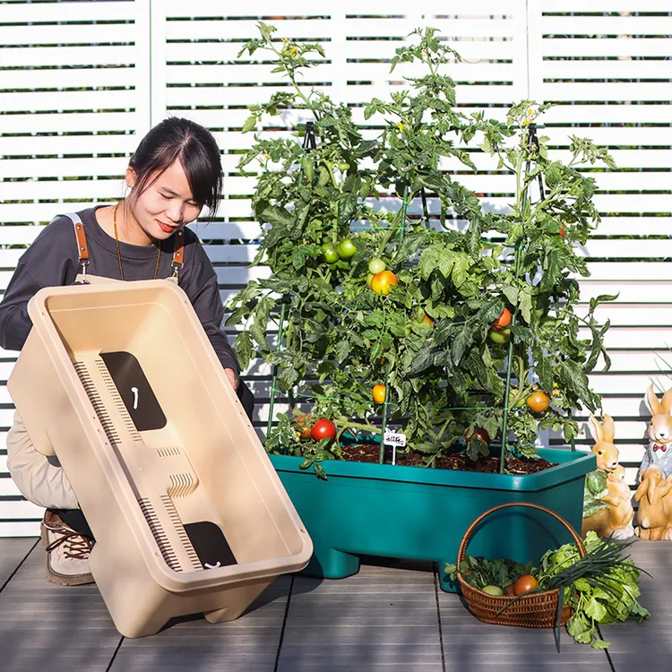 【滑轮种植箱】大号加厚透气种菜盆加厚阳台种菜盆种菜种菜专用盆商品图