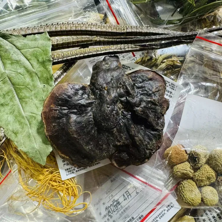 灵芝组合料  一斤体验装(带瓶）和20斤的是同款材料