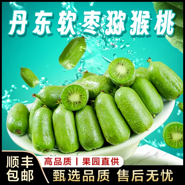 丹东软枣猕猴桃绿心奇异果1/2/3斤整箱中秋礼盒放送