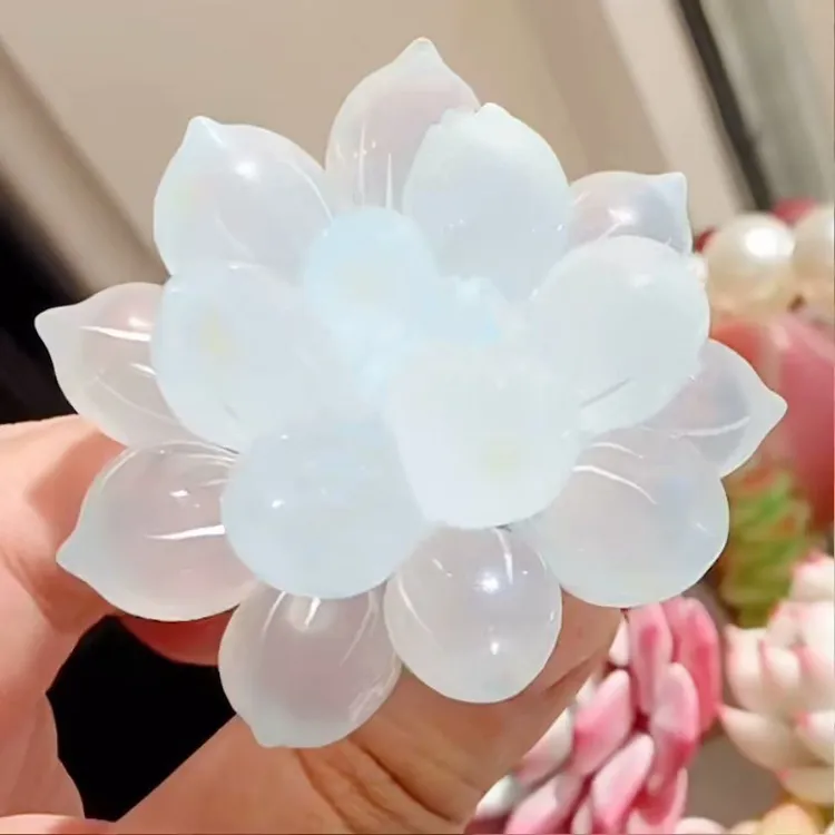 云南直发白樱露锦阳台防辐射蓝镜玉露多肉植物组合办公室桌面喜阴