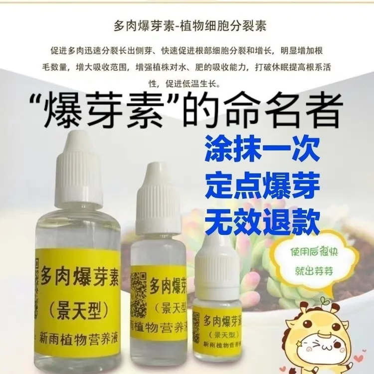 多肉爆芽素多肉分裂素细胞分裂素爆侧芽令箭催花苞多肉优芽素上色
