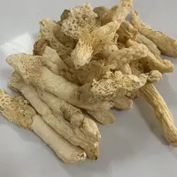 【翠凤】竹荪 贵州农家自种无熏硫 肉厚爽滑脆 秋季必备汤水