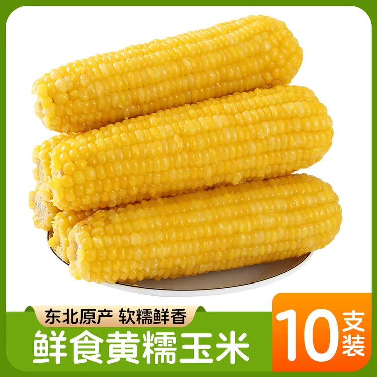 25年头茬试吃2支正宗东北黄糯玉米10支好吃黄玉米甜玉米真空包装