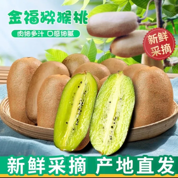【产地直发】陕西金福猕猴桃5/10斤大果当季水果硬吃脆甜软吃糯甜