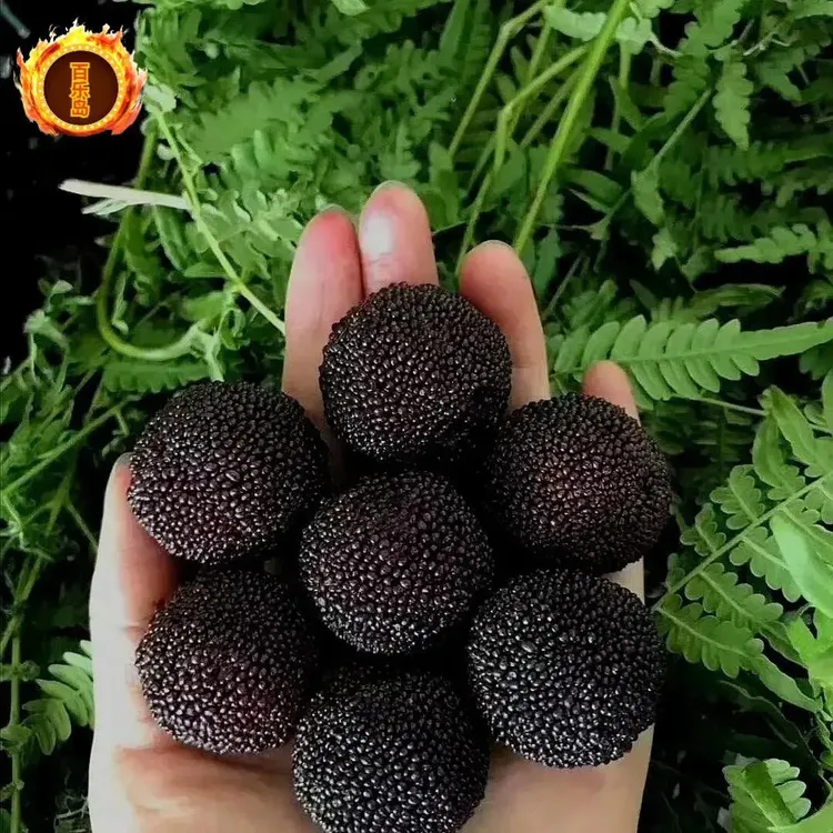 送肥料【基地直售】优质-杨-梅-嫁·接·品·种·单质氮肥齐全B05X3商品图