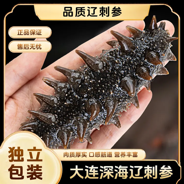 辽连岛即食营养海参开袋即食低脂低卡正宗鲜食海参Q弹口感劲道