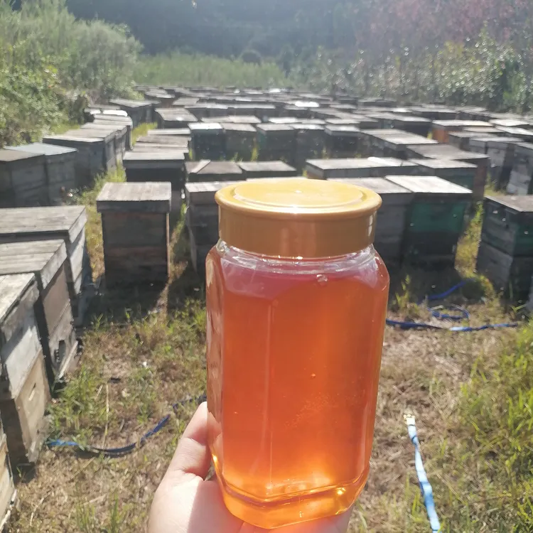 粉丝福利盲盒随机纯蜂蜜1000g假一赔十蜂农艳子家直销