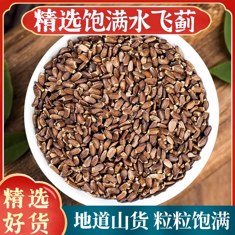 新货水飞蓟子优选籽种油水飞雉水飞蓟奶蓟