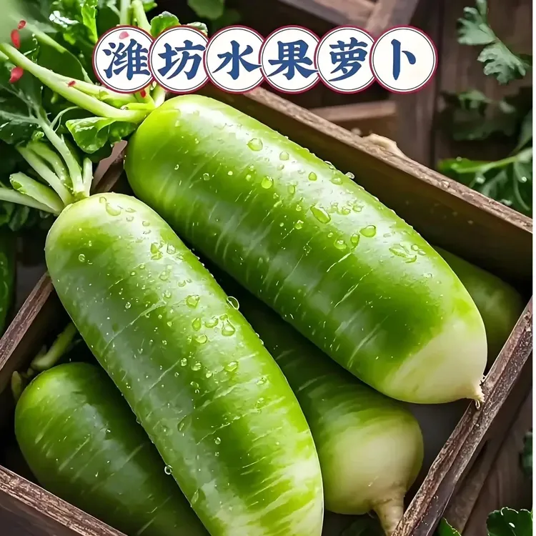 山东寿光 水果萝卜 冰淇淋水果萝卜脆嫩清甜产地直发坏果包赔新鲜