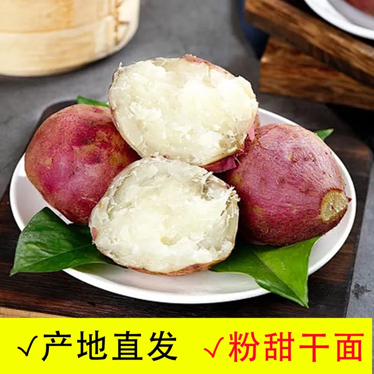 新鲜现挖白心红薯粉面干香红皮白瓤板栗地瓜河南农家自种哈密红薯