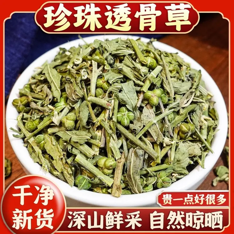 珍珠透骨草非凤仙透骨草干货透骨草泡水煮水中药泡脚另售伸筋草