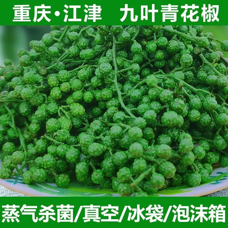 正宗青花椒江津九叶青纯正麻椒保鲜真空藤椒青花椒新鲜调味品火锅
