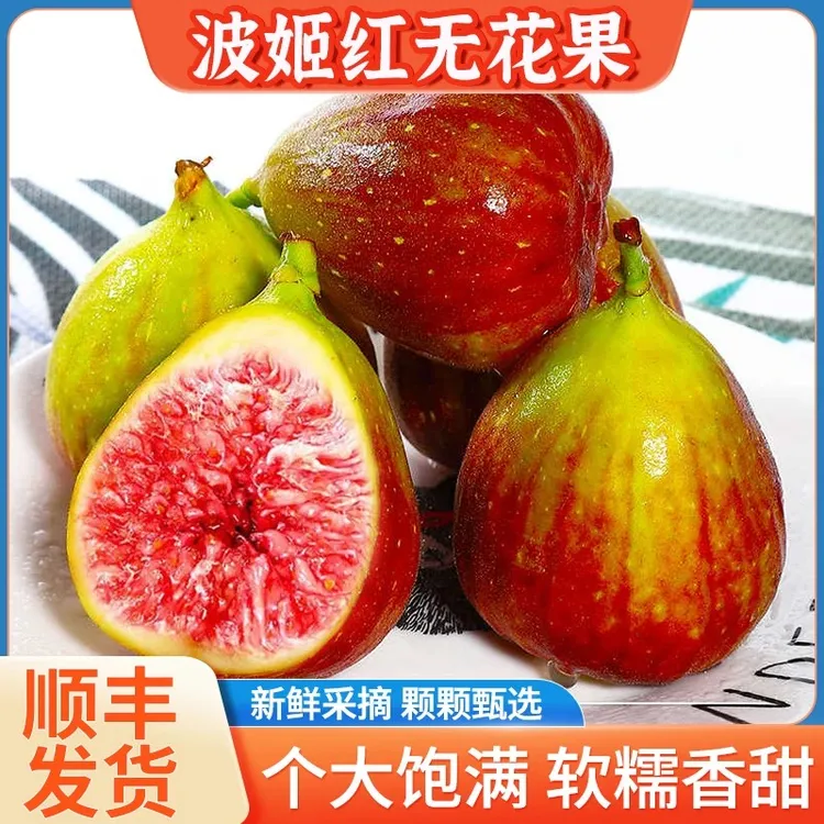【顺丰】云南波姬红皮无花果新鲜现摘现发孕妇鲜果当季水果1斤起